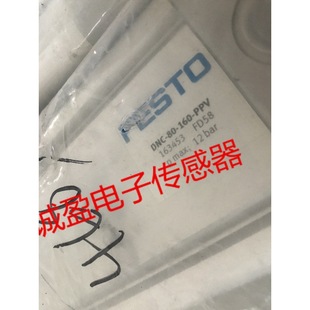 Festo Cylinder Dnc-80-160-Ppv 180-Ppv-A 150-Ppv-A 80-Ppv 25-Ppv-A