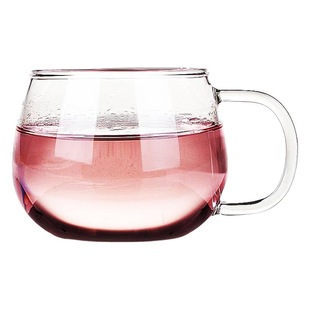Heat-resistant glass flower tea cup with handle creative coffee cup transparent glass office Cup breakfast cup microwave oven available