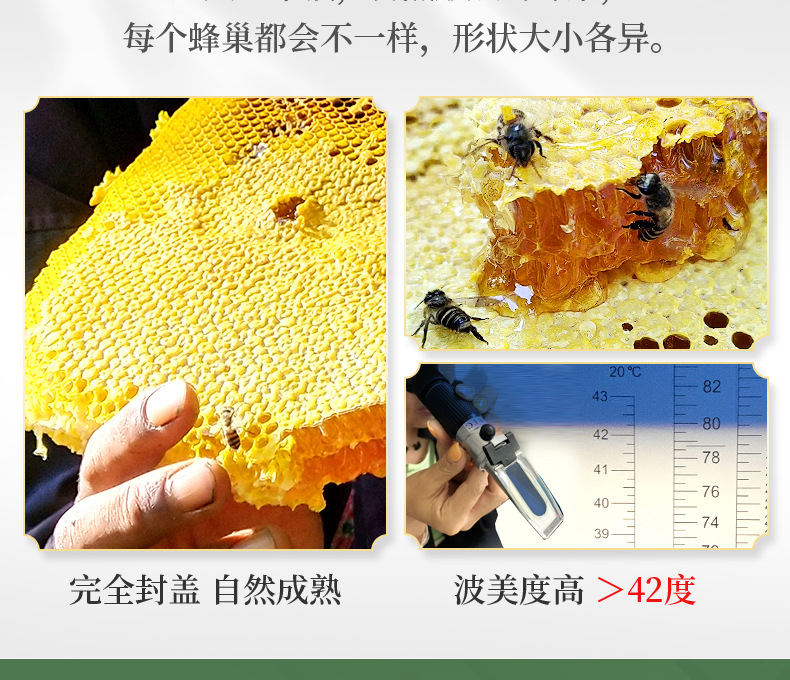 O1CN01IMSeps1PSJ9U9SG50_!!2213433371839-0-cib.jpg?__r__=1665814182473