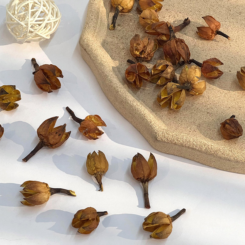 2022_02_24_14_59_IMG_1238