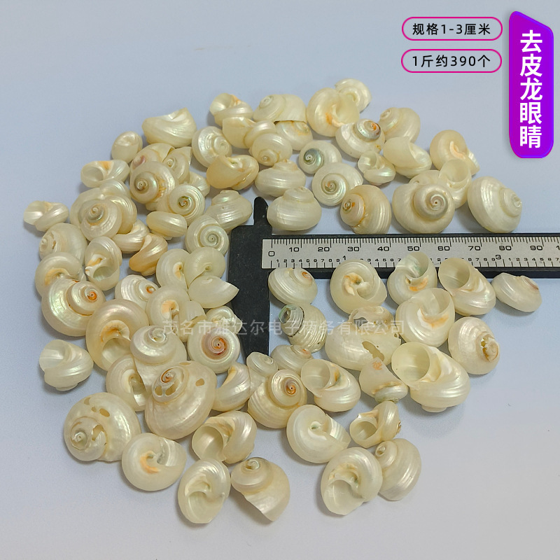 貝殻と法螺貝 1～2cmをポンド単位で販売、貝殻と砂を混ぜて手作りのDIYテーブルを製作、ドリフトボトルを製作|undefined
