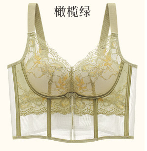柔塑聚拢轻奢调整美体内衣马甲文胸美容院玫瑰精油托玛琳|undefined