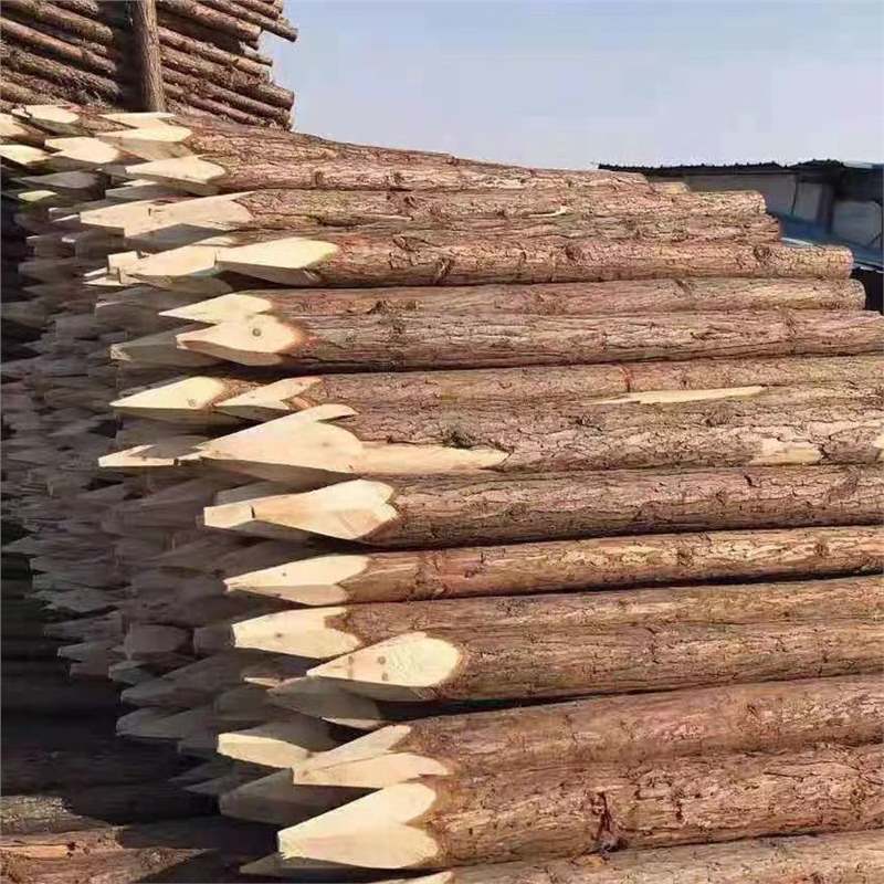 贵州工地河道松木桩木材原木打桩木河道防洪护岸工程建筑松木