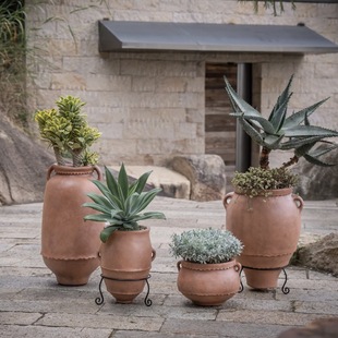 ���Wˇ�g��̖��ز廨ƿ�Ƶ��̈��Gֲ���Ըߙnˮ�໨��͸���V����