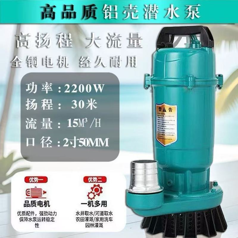 水泵抽水家用上海人民扬程潜水泵220农用灌溉流量抽水泵清水泵|undefined