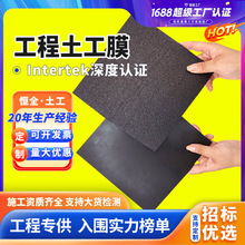 防渗土工膜污水沼气池聚乙烯复合土工膜垃圾填埋场定制hdpe土工膜