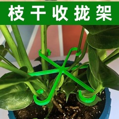 亀背竹支持固定器倒伏防止春羽ステント水培枝固定植木鉢架園芸花卉緑植