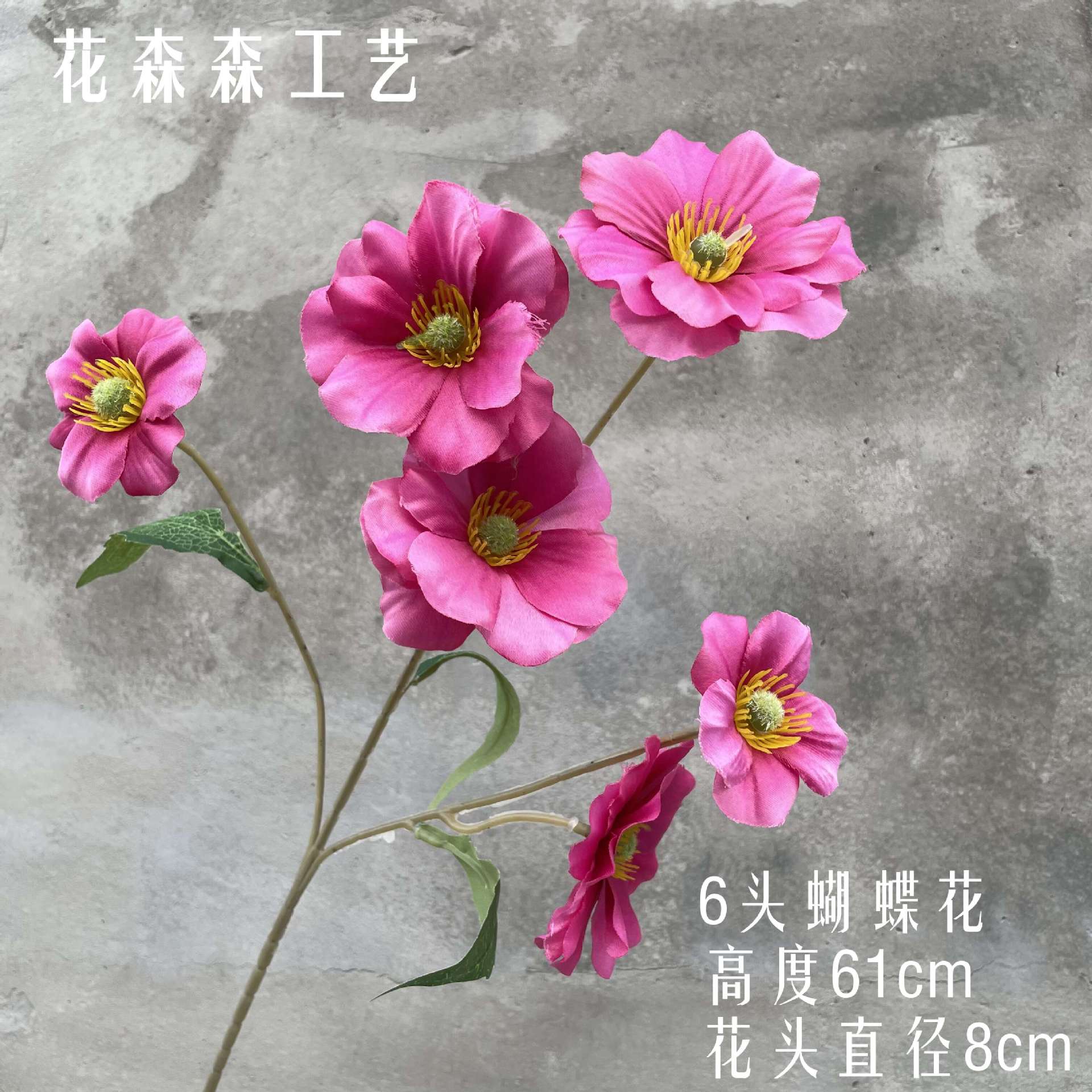 6 머리 나비 꽃 100329