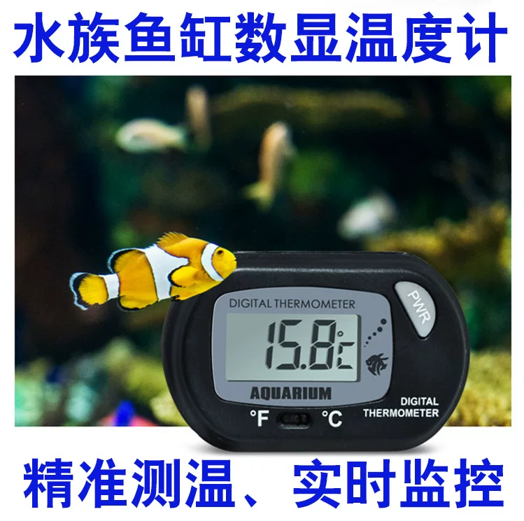 Aquarium, thermometer, small electronic storage box