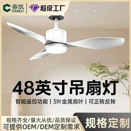 风扇灯;电风扇;USB风扇