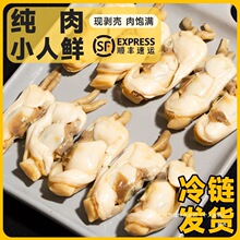 特大号蛏子鲜活新鲜冷冻即食去沙小人鲜海鲜新鲜鲜活鲍鱼散装食用