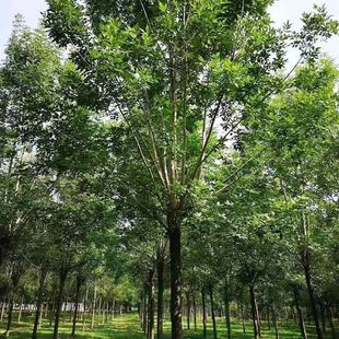 ���ͽ��~��Ϟ�L�������е���ϞС���Ϟ���L����WZXͥԺ�G����Ϟ