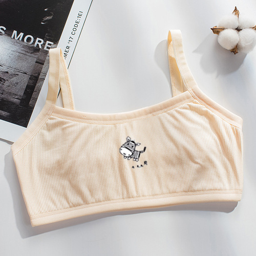 Growth period small vest female student underwear primary and junior high school students 16-year-old girl bra girl innerwear bustier agency 