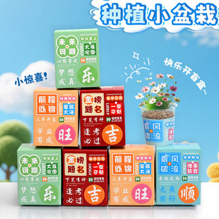 Creative Plant Blind Box Small Potted Kindergarten Gift Indoor Planting Flower Seeds Student Desktop Green Plant Potted Plant