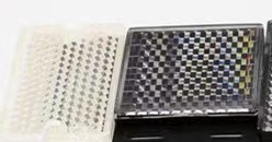 微信图片_20210419231657