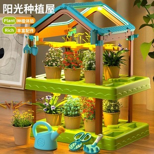 Sunroom Children's Planting Toys DIY Plant Flower Observation Elementary School Science Experiment Kit Boys and Girls Educational