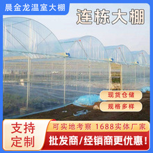 薄膜大棚农业生姜种植观光遮阳连栋温室花卉养殖棚植物保温