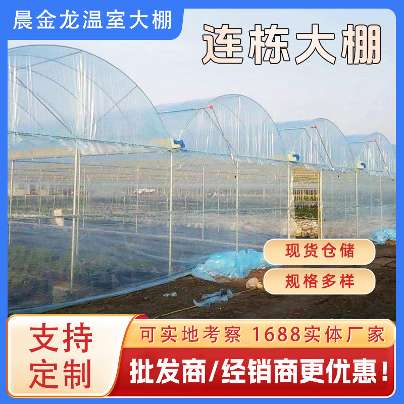 薄膜大棚农业生姜种植观光遮阳连栋温室花卉养殖棚植物保温