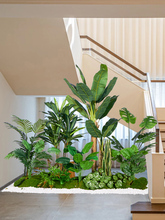 ����Gֲ�����҃��쾰�M�Ϙ����Ꭷ��ֲ�ﾰ�^�٘������b����l