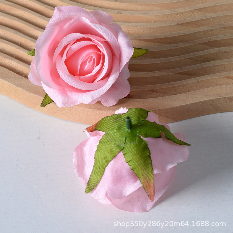 rosa
