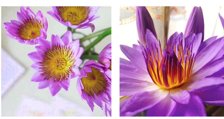 6086f3d3-55a4-4426-8f9e-1e215132b39e.jpe