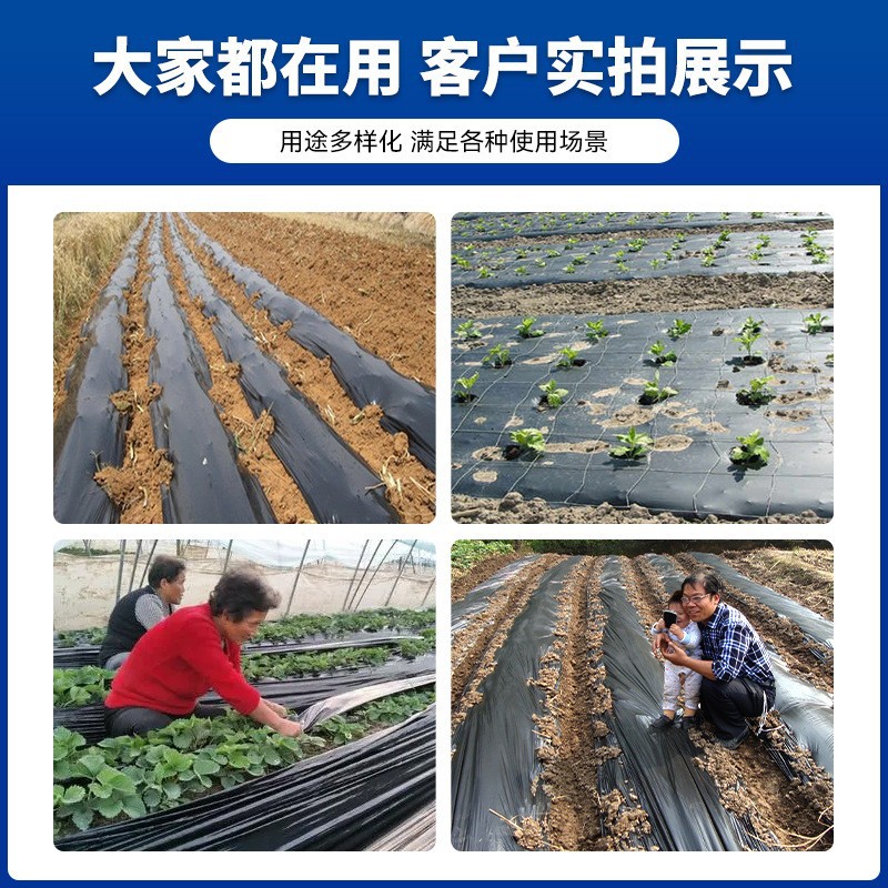 Película de plástico película agrícola película de efecto invernadero resistente al envejecimiento al por mayor película de plástico cubierta de plástico negro escarda fabricantes de vegetales