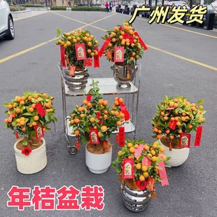 ������Ԏ�������С����ļ������������҃ȿ͏d�辰����Դ�^���l