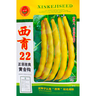 �|���S���h�t���h�Ͷ��N�Ӷ��ǷN���ݟ���ⶹܿ���߲����ļ����N