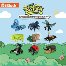 IBLOCK��Ȥ2202�������������������ƴװ��ľѧ�������һ������