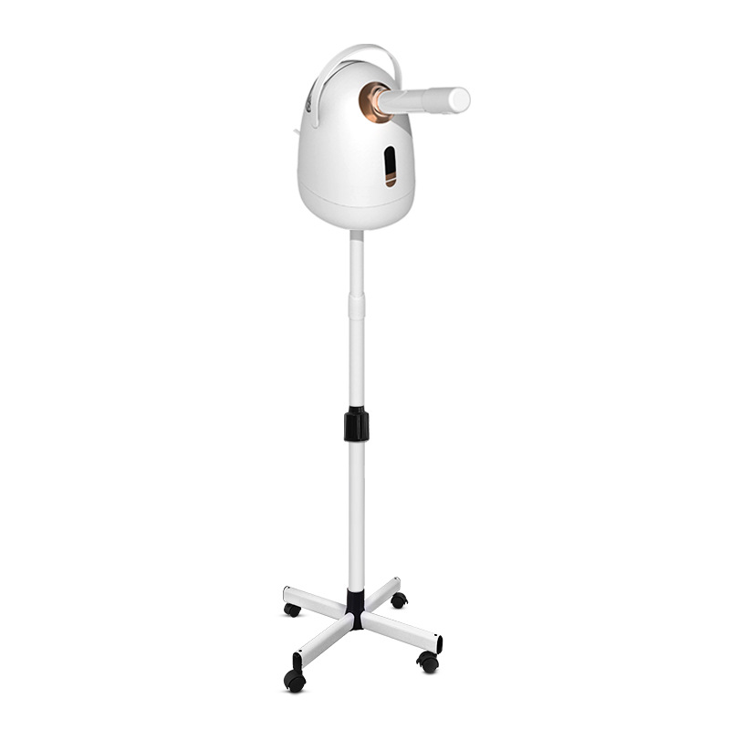 立式蒸脸器冷热双喷补水仪家用面部保湿喷雾器美容院美容仪器批发