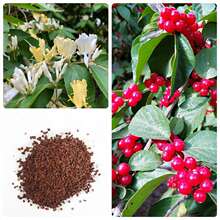 yľNӻľľľֲNѽyy̶NļN