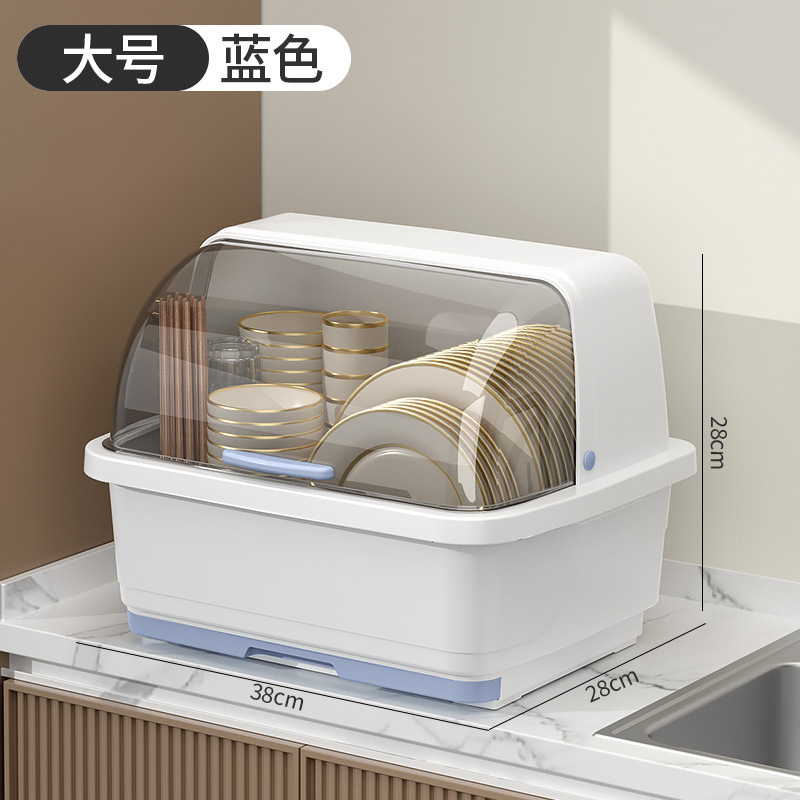대형 블루