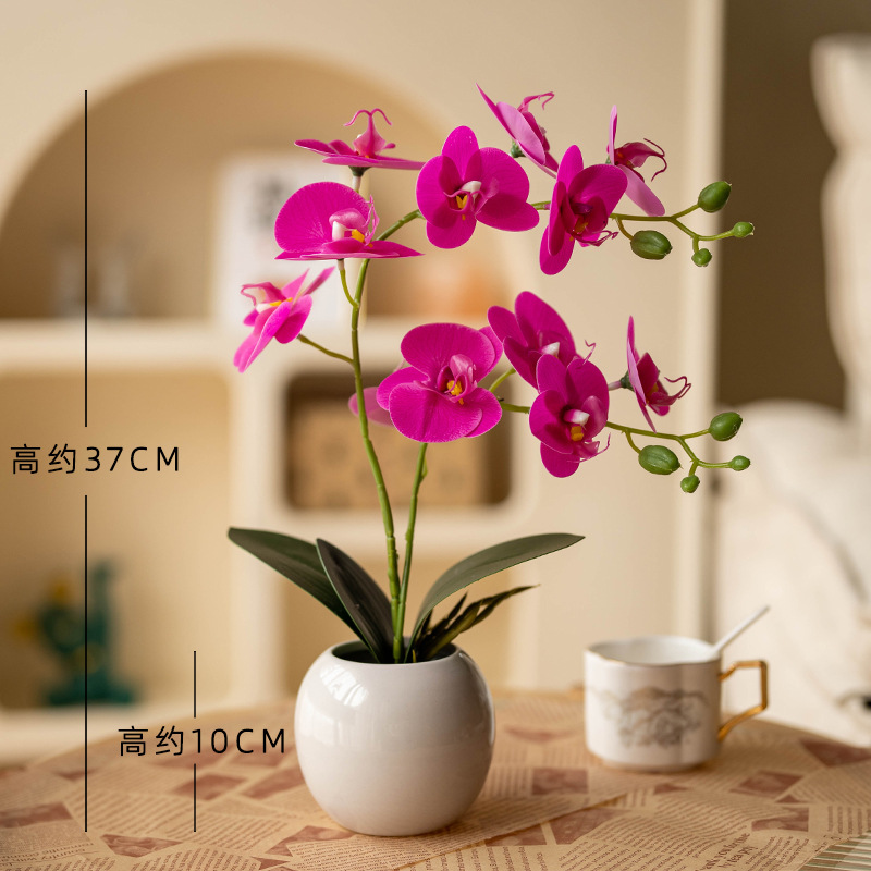 밝은 유약 흰색 냄비 + 2갈래 호접란 보라색