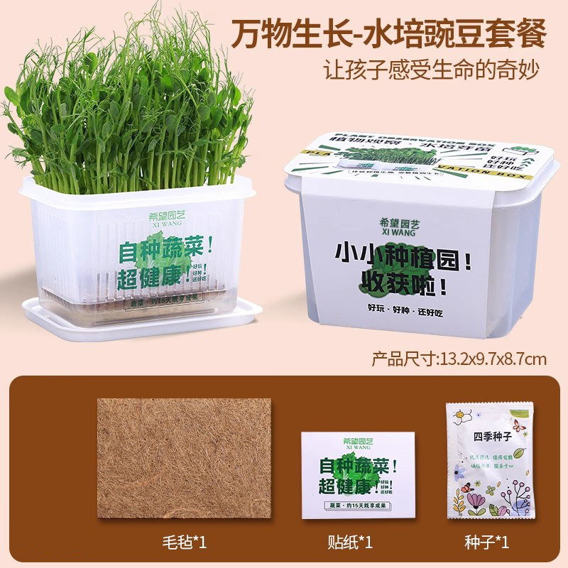 Children's Small Potted Plants, Students' Soilless Hydroponics, Sun Room Planting Toys, Scientific Small Experimental Plant Growth Observation Box