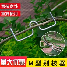 �r�ù�����֦���������Ï������e֦��ֱ�����_�����O�����Ҙ�