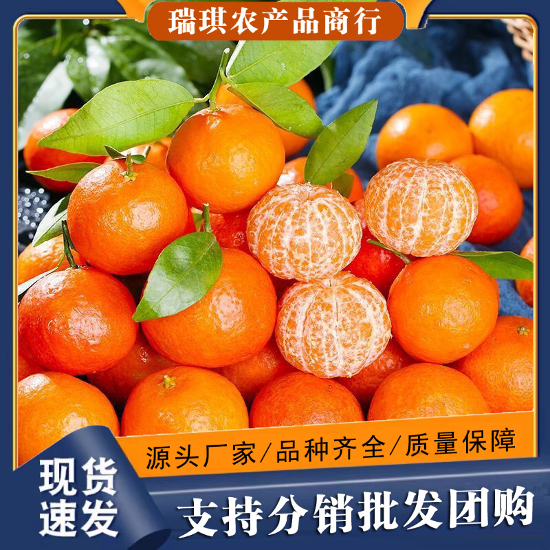 广西沙糖桔小砂糖橘蜜橘整件包邮新鲜水果砂糖桔一件代发一级