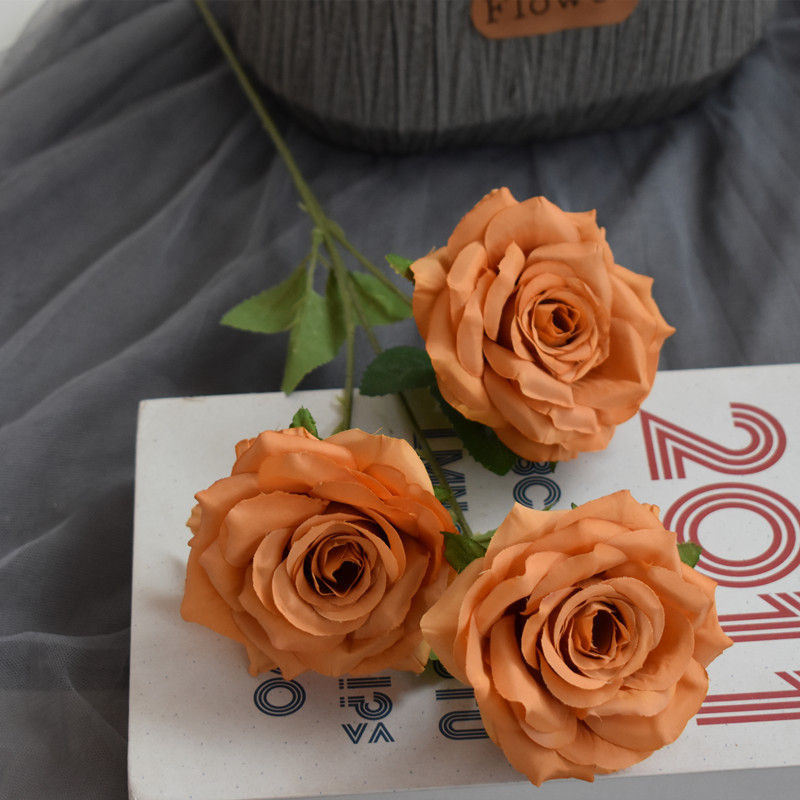 다이아몬드 로즈 가을 오렌지