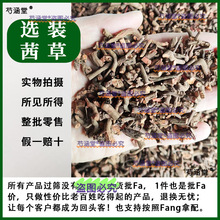 选装茜草新货茜草中药材原材料新鲜茜草根皿见愁破皿草红根草