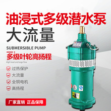 QDС͸ߓPʽ๝ˮ220vС󹤵ؽˮˮ380V