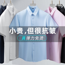 ��ʿ�������䴺�ļ���������������������������װ��������ɫ����