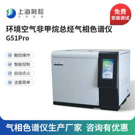 荆和 G51环境空气总烃非甲烷总烃气相色谱仪 国产气相色谱仪厂家