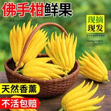 ���ָ��r�����r���ֹ��Ў�֦�҃Ȕ[���幩�^�p���ʳ�û�������