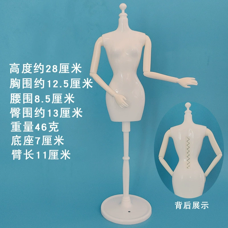 Children's mannequin head, design small physiological three dimensional doll, stand for kindergarten