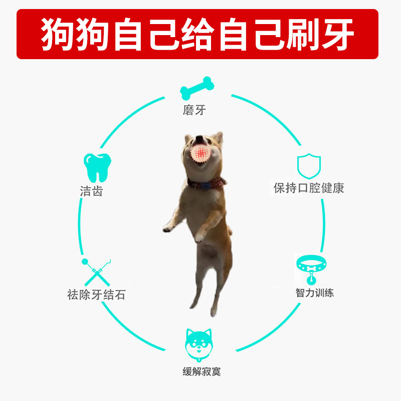 Perro Bola de juguete molar Limpieza de dientes descompresión aliviar la mordedura de juguete tapado resistente al desgaste entrenamiento elástico interactivo bola para mascotas