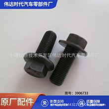 ����˹���͙C���������3906733���Ƿ��m��˨