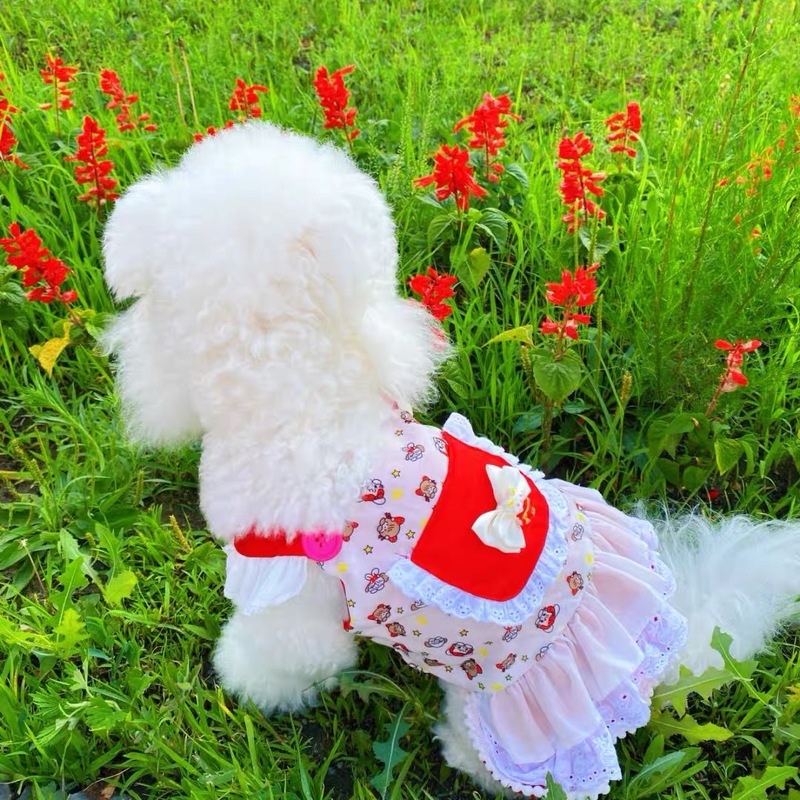 春夏犬薄い小さなミルクティーカップ猫プリンセスドレス犬テディビションテディ夏服子犬服|undefined