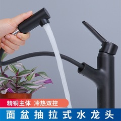 Oster 洗面台の蛇口家庭用黒のホットとコールドの引き出し式銅製蛇口洗面台飛沫防止カウンタートップ洗面台