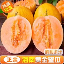 �۹�9�����������ϕr������rˮ���������ɯ���SƤ1