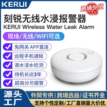 ����Ϳѻˮ��������wifiԶ�̼�����ˮ��ˮ����������©ˮ��Ӧ��