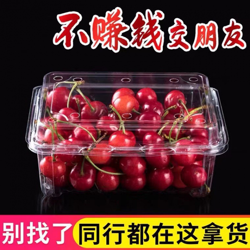 透气塑料盒一次性水果打包盒批发生鲜保鲜盒带盖透明塑料盒子跨境